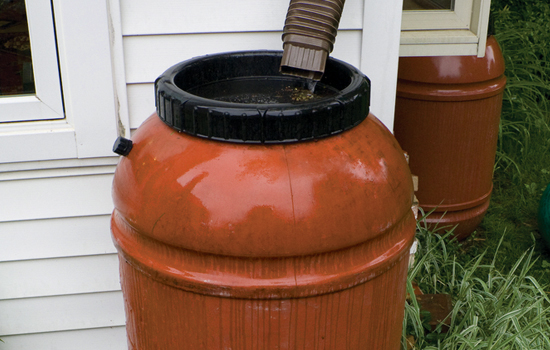 rainbarrelsm