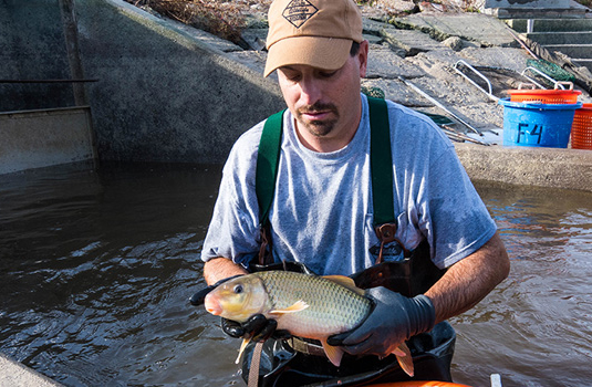man holding fish